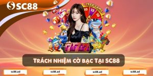 Trách Nhiệm Cờ Bạc - Xây Dựng Thói Quen Chơi An Toàn Bền Vững
